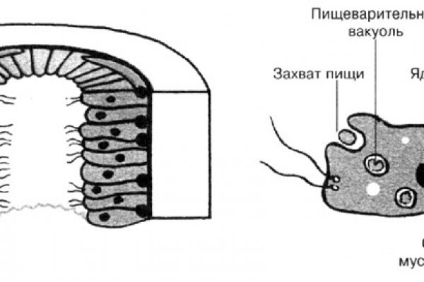 Кракен питер