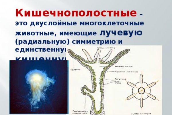 Ссылки зеркала на kraken kraken dark link