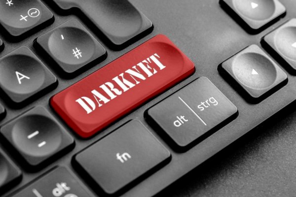 Kraken dark net