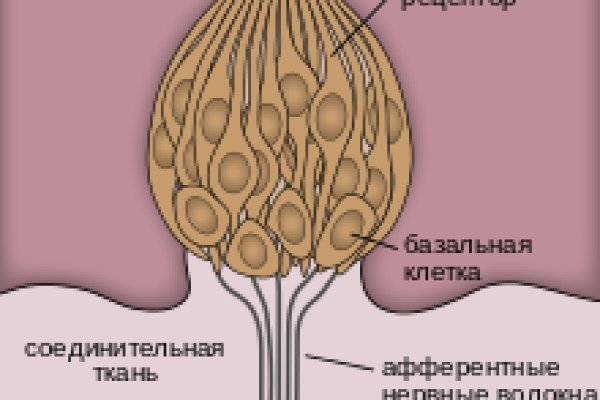 Почему не работает кракен сегодня