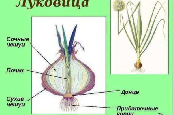 Кракен сайт что будет если зайти