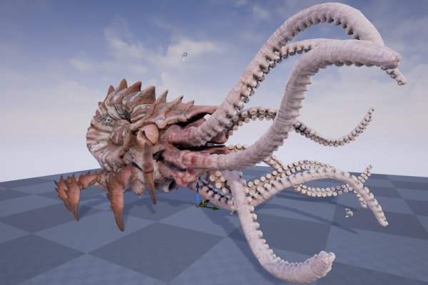 Kraken 25 at