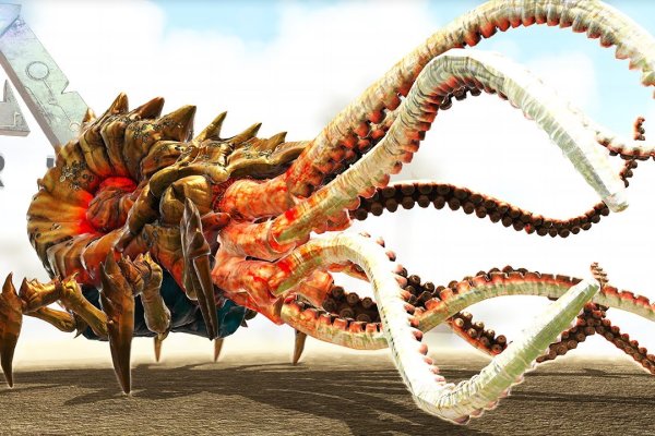 Kraken istand onion