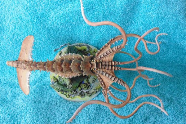 Kraken даркнет gigageek ru