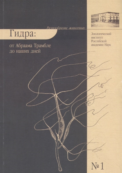 Kraken адрес