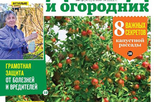 Ссылка в даркнет