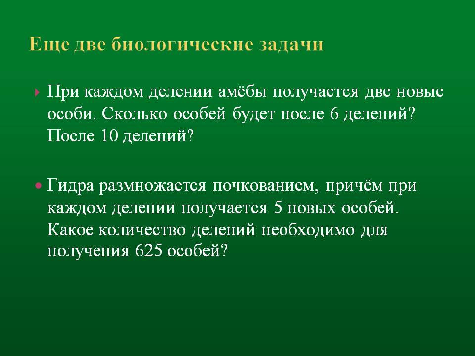 Кракен маркетплейс ассортимент