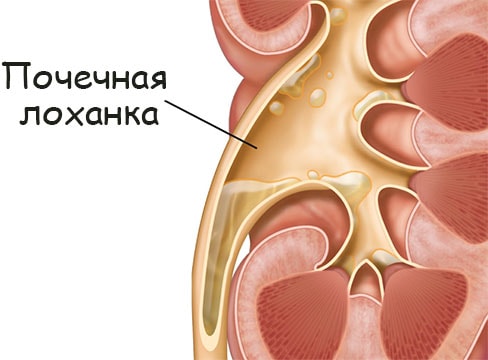 Как открыть ссылку с кракена